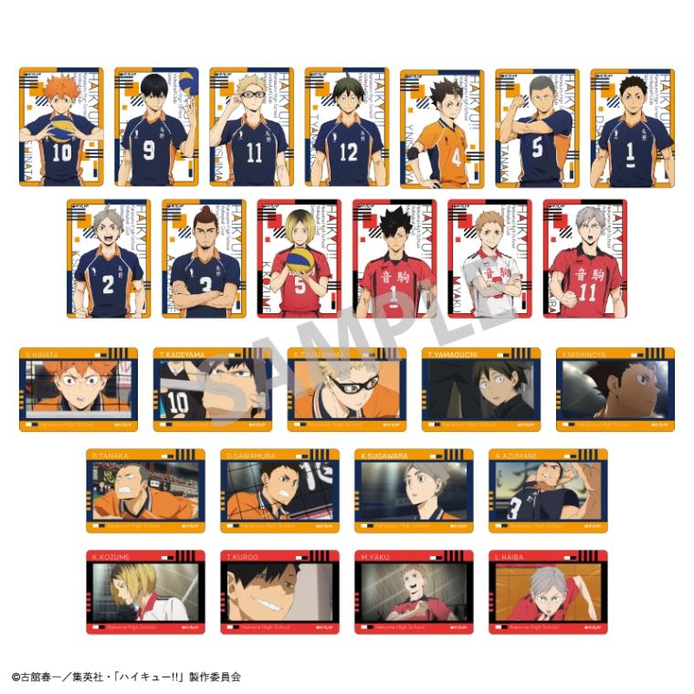 Haikyuu!! Picharm3 (1 Random)