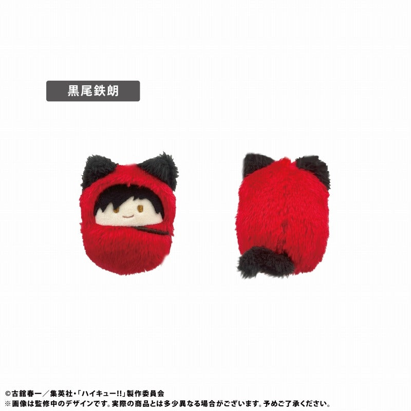 Haikyuu!! Kurumi Tappinui Plush Vol.1 Blind Box
