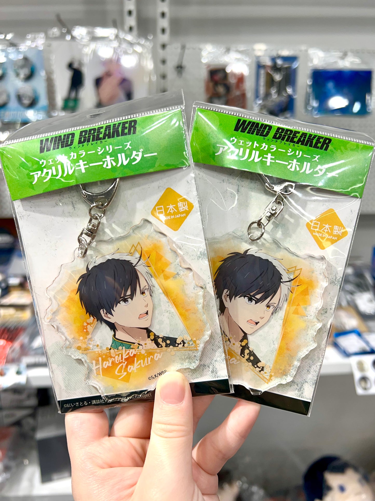 WIND BREAKER Wet Color Series Acrylic Key Chain Haruka Sakura
